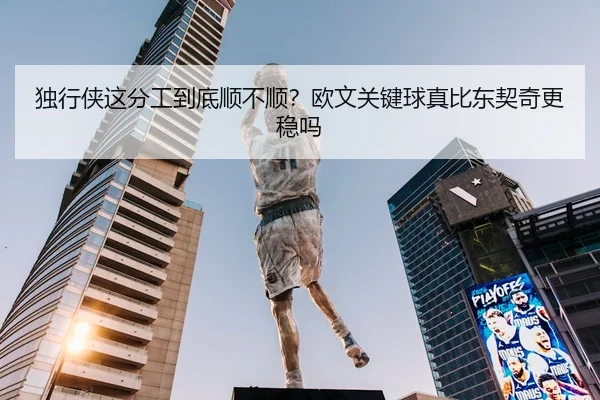 独行侠这分工到底顺不顺？欧文关键球真比东契奇更稳吗
