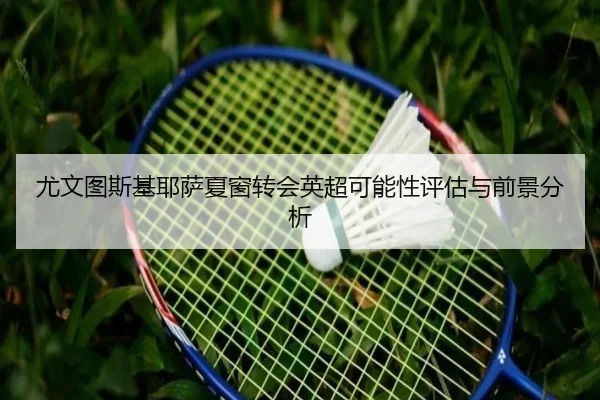 尤文图斯基耶萨夏窗转会英超可能性评估与前景分析